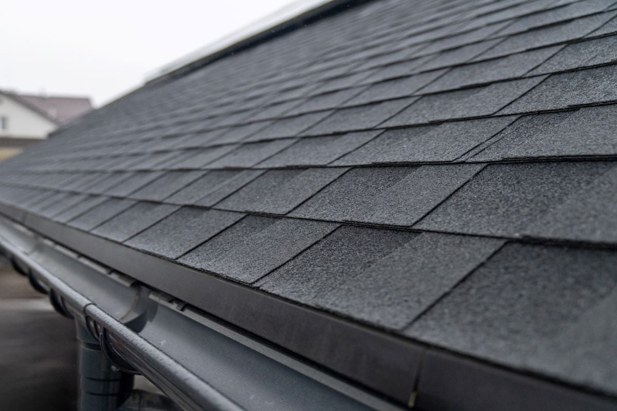 architectural shingles vs 3 tab asphalt roof close up water gutter