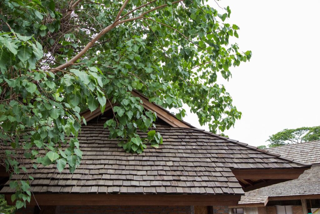brava roof tile old wood big house green leaves tree