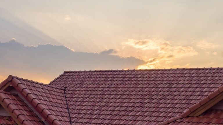 red roof tiles sunlight